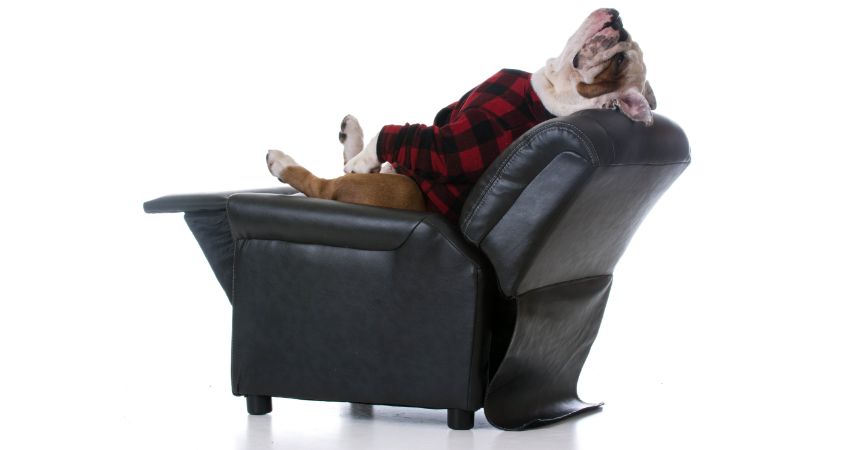 7 Differences Between Power Recliners and Manual Recliners